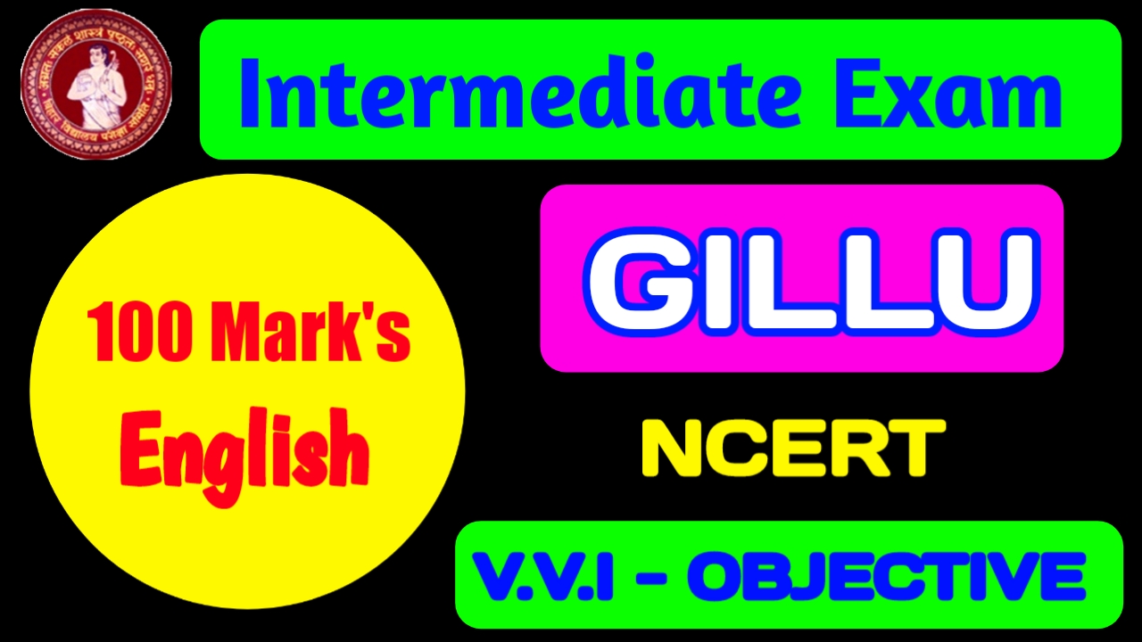 Class 12th English Gillu 100 Marks Objective Question